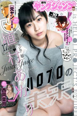 春花焰电视剧免费观看